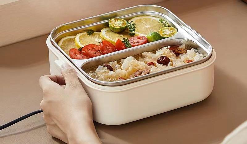 Electric lunch box