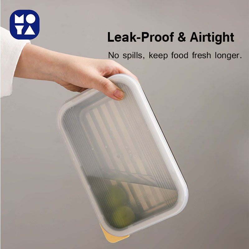 MOYA 304 Stainless Steel Food Storage Container with PE Lid, Single Box in Medium Size